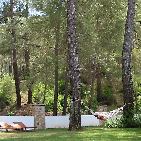 Forest Gate Otel 3*