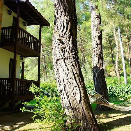 Forest Gate Otel 3*