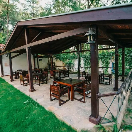 Hotel Forest Gate 3*