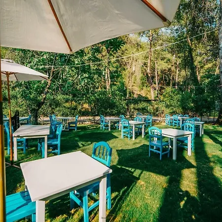 Szálloda Forest Gate 3*