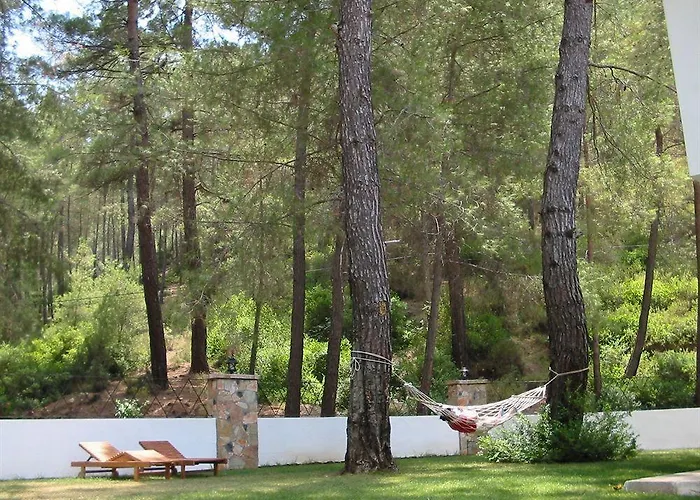 Forest Gate Szálloda 3*