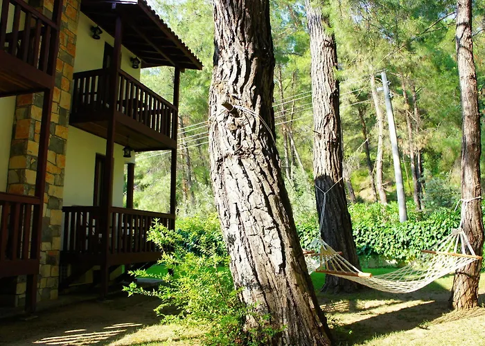 Forest Gate Szálloda 3*